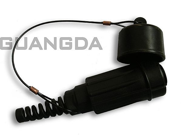 Special exhibitions